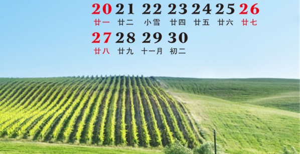 算命大师信主见证视频