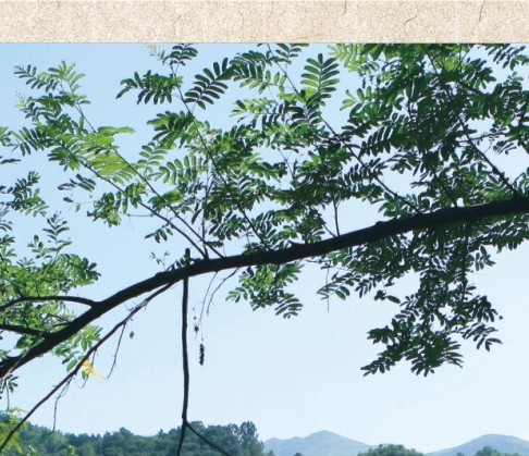 自助麻将馆赚钱吗