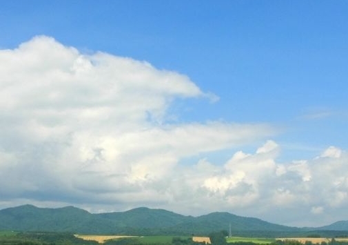 回收废铁有限公司厂