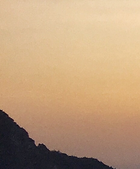 投资什久项目赚钱