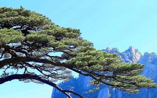 大镖客2怎么赚钱最快