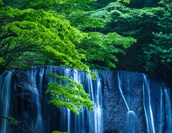 歌手赚钱案例