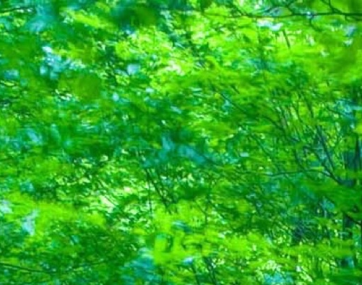 身边朋友违法赚钱