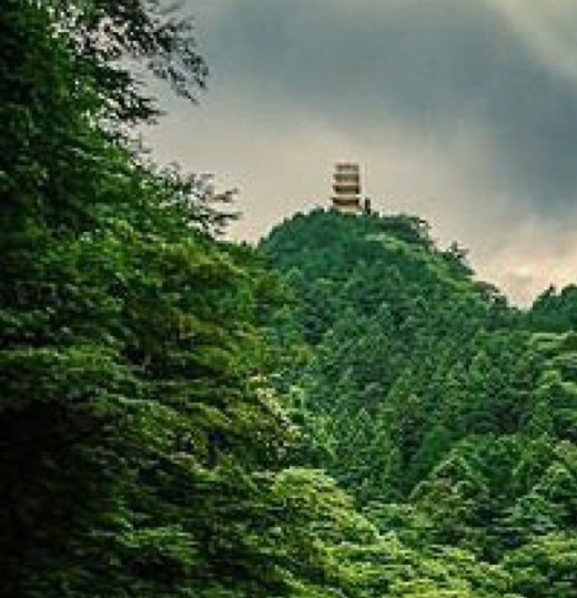 创业项目赚钱项目