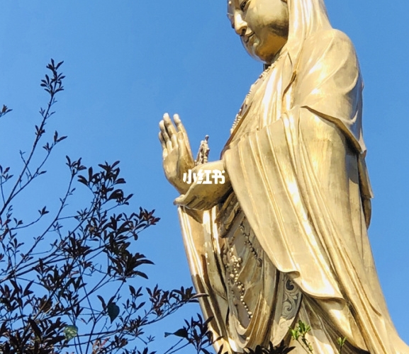 御龙争霸怎么赚钱