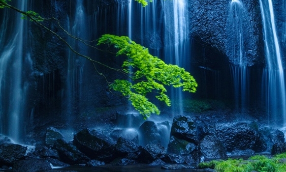 设局赚钱案例