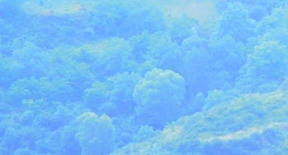 不上班也能赚钱的方法