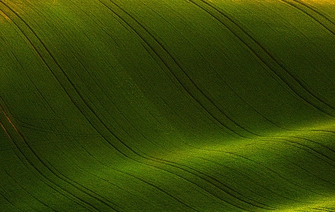 什么叫流量明星