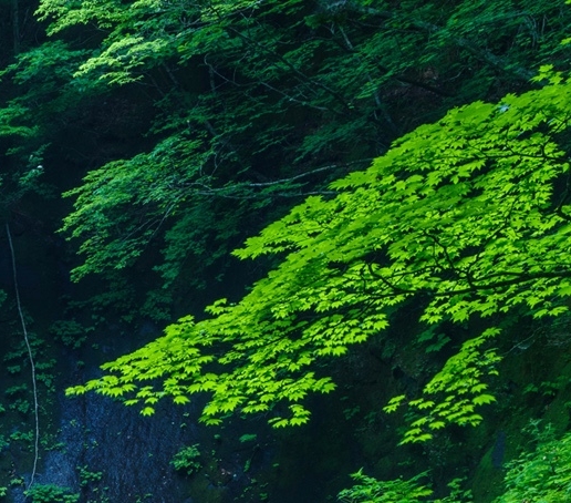 虚拟资源最赚钱的方法