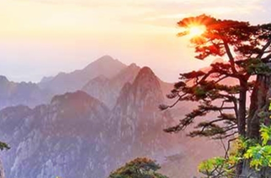 创业项目不赚钱项目有哪些