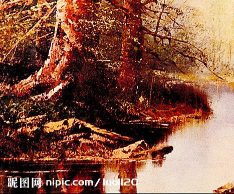 医学生有什么赚钱的途径