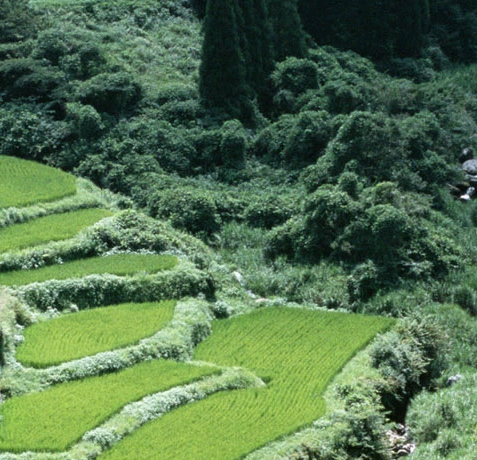 洗车赚钱案例大全
