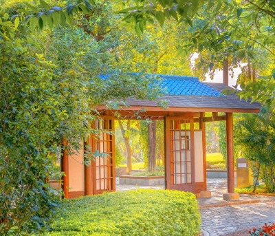 吃菜赚钱的方法是什么