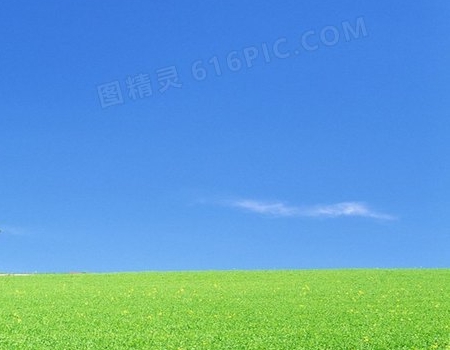 服装生意赚钱的案例