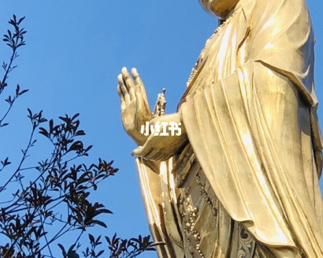 投稿杂货店赚钱APP下载