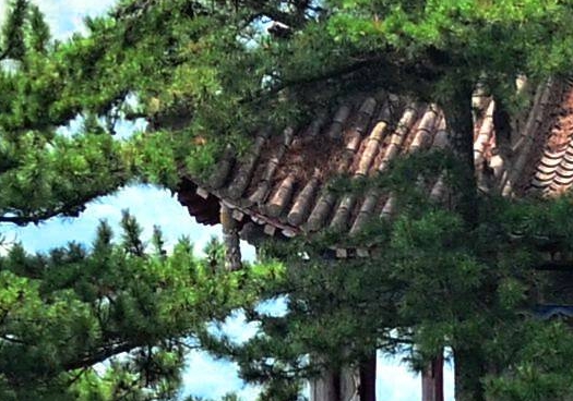 休闲赚钱游戏大全