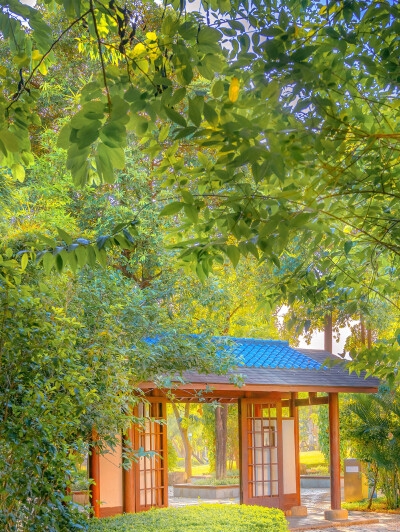 免费模式赚钱案例