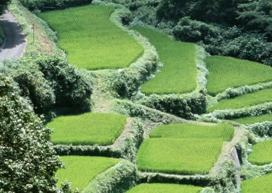 折纸钱元宝