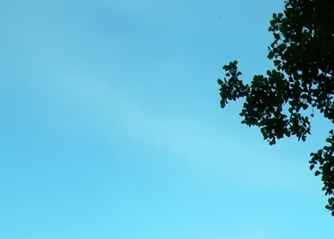 改编歌曲搞笑大全歌词