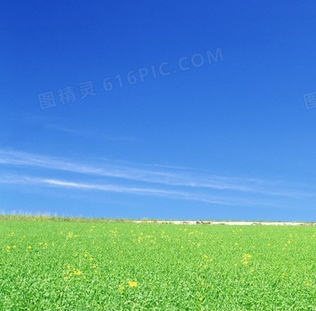 最近有哪些赚钱的项目