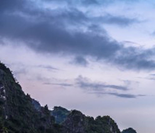 引流赚钱app推广app