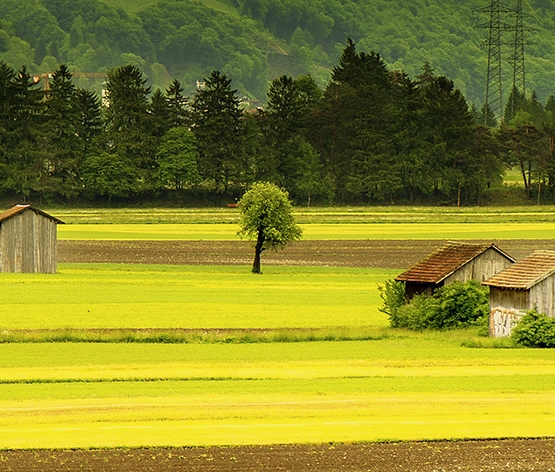 平时赚钱项目