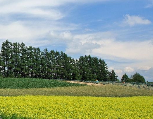 和平家园二层别墅