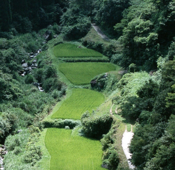 古代赚钱案例分析