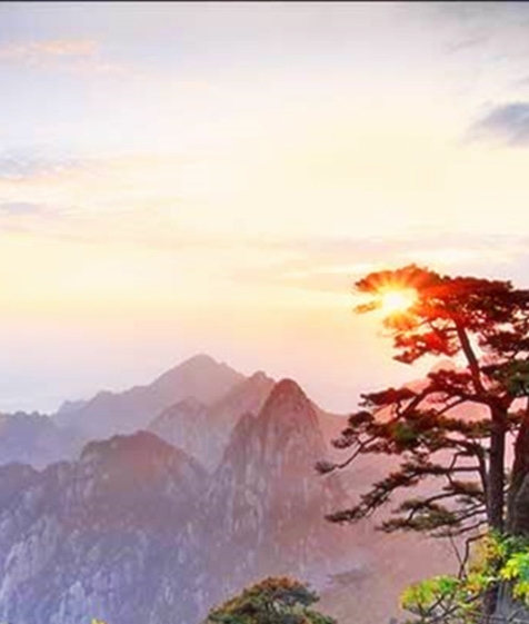 创业项目加盟排行榜