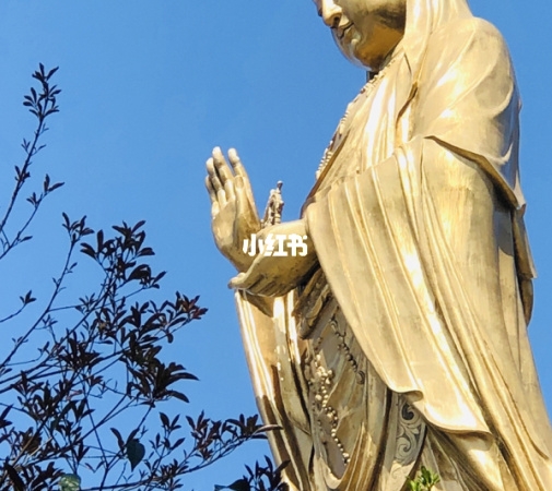 2021年最赚钱的行业