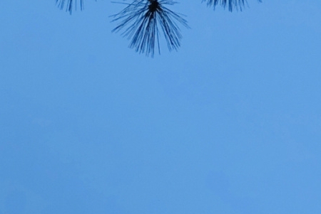 现在最新赚钱项目