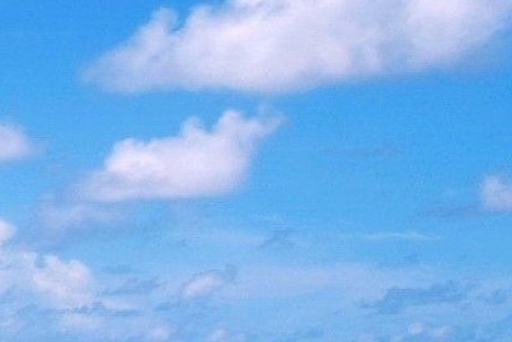 直播赚钱新项目有哪些内容