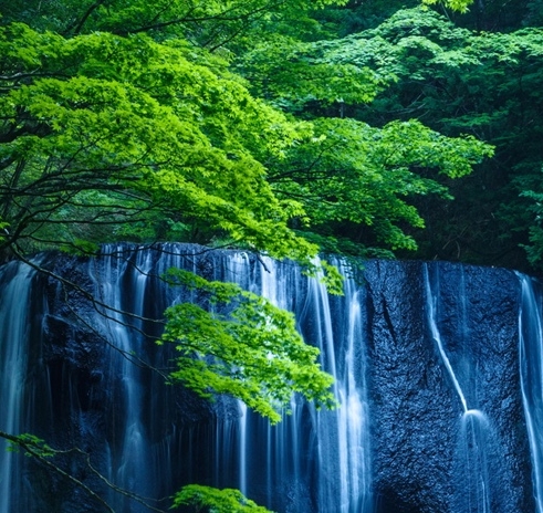 抖音星图广告怎么赚钱