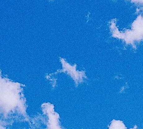 现在什么项目赚钱快