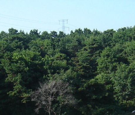 空手赚钱模式案例