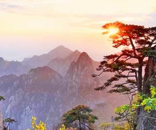 烟雨江湖前期快速赚钱方法