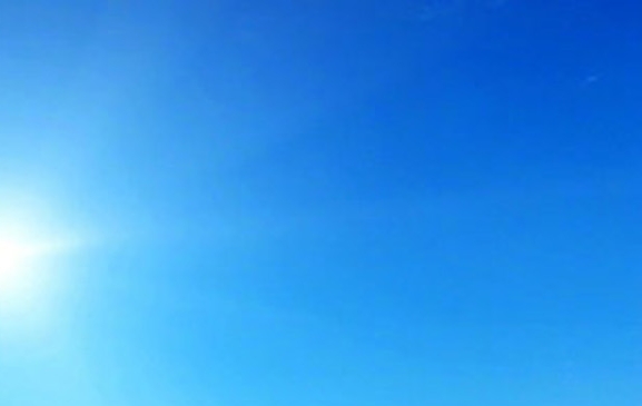 利用公司流量赚钱的案例