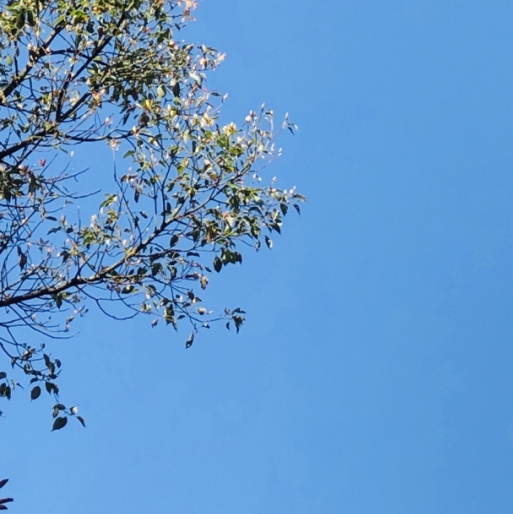 赚钱项目资源网源头