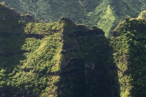 摆地摊烧玉米项目赚钱吗