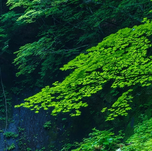 开军火库