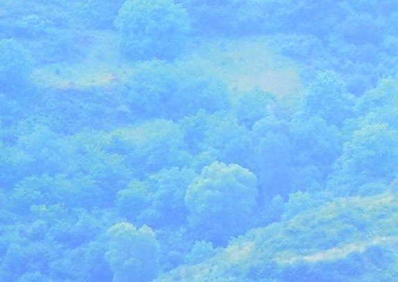 etf快速赚钱方法