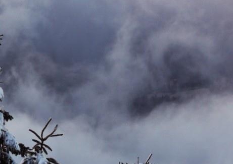 空手赚钱的真实案例