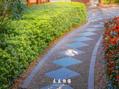 如何在网上赚钱