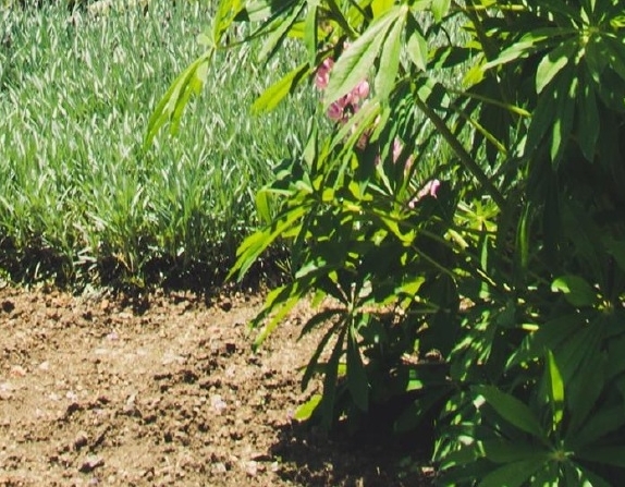 电脑赚钱软件每天50元