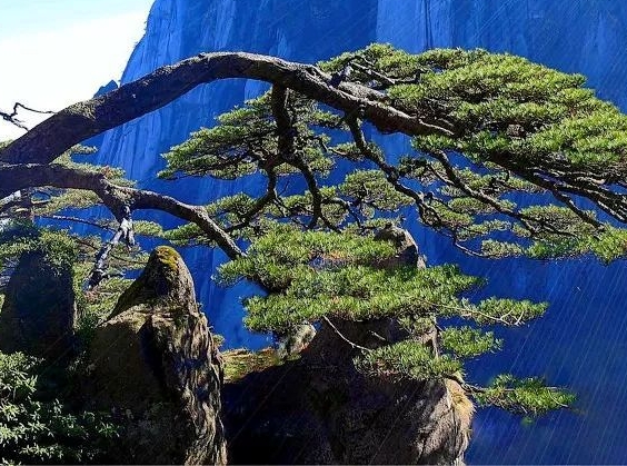游戏刷流水赚钱 骗局