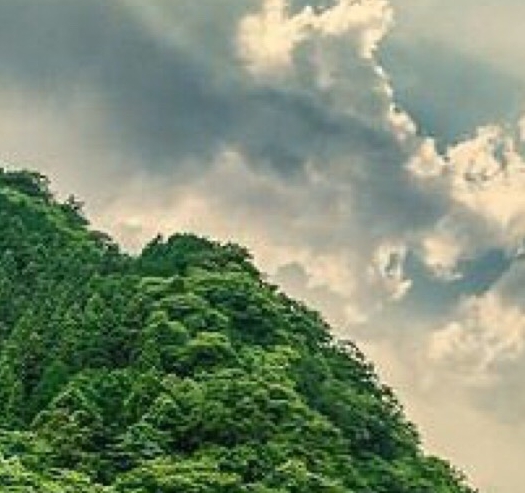 免费送东西的赚钱模式案例