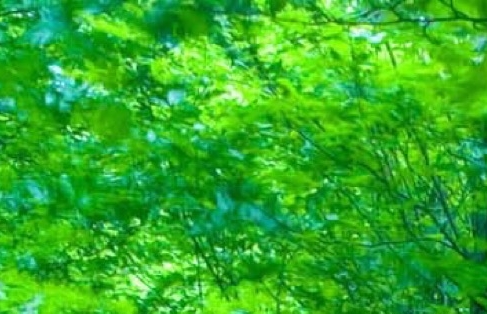 宝宝起名赚钱吗