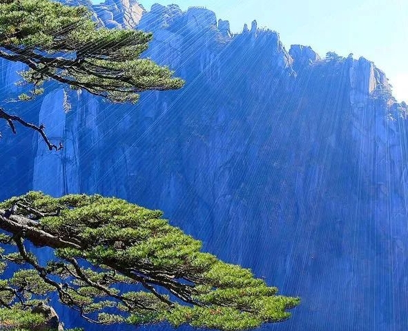 adsense赚钱的可行性