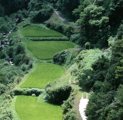 边旅游边赚钱的项目是什么