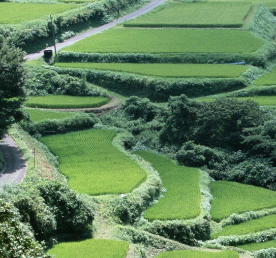怎么提供赚钱方法赚钱